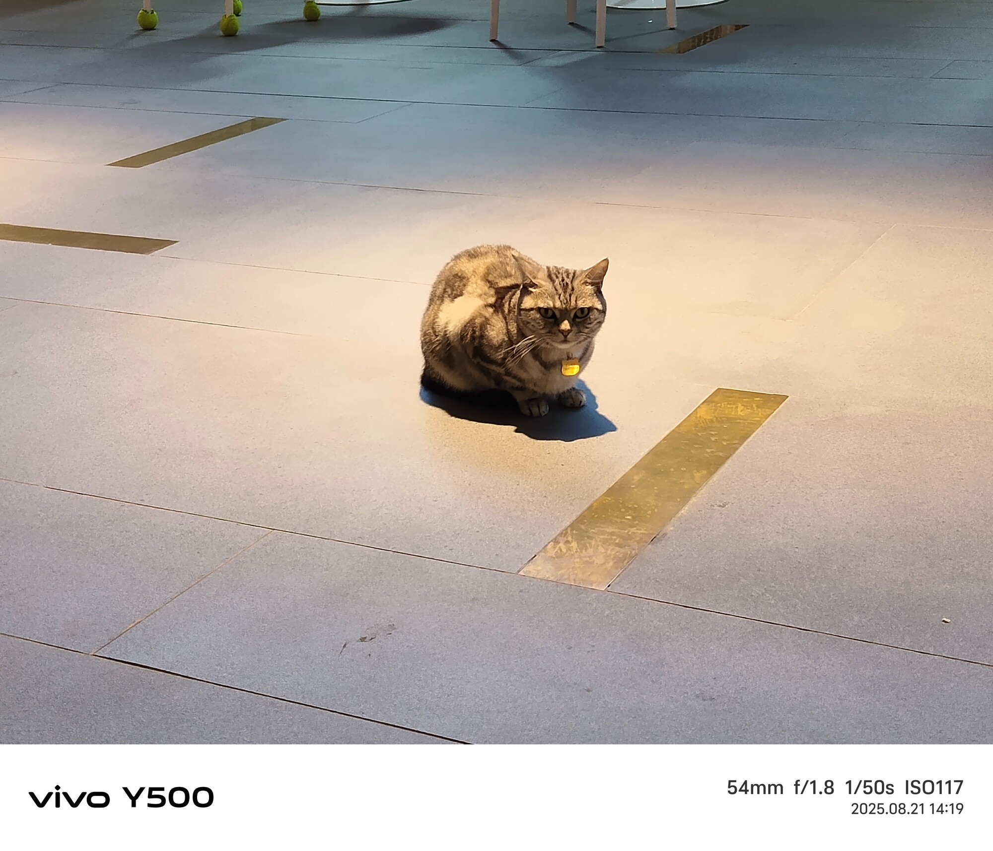 vivo Y500ȫ������ ȫ��λ����С����