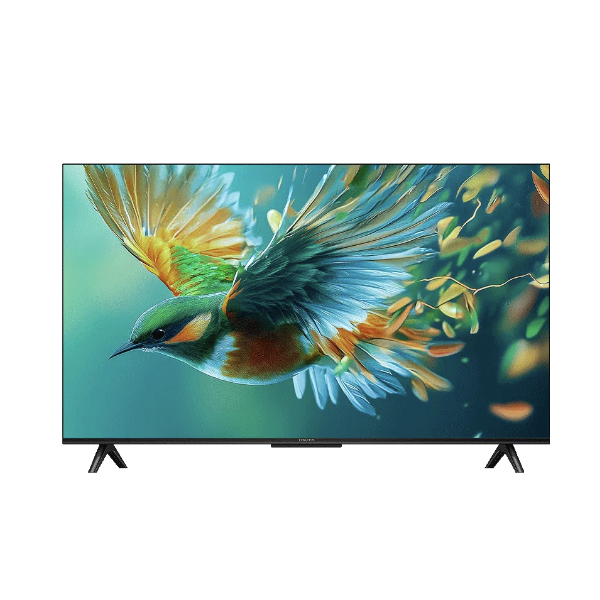 雷鸟 雀5系列 65F295C 电视 65英寸 4K 节能款