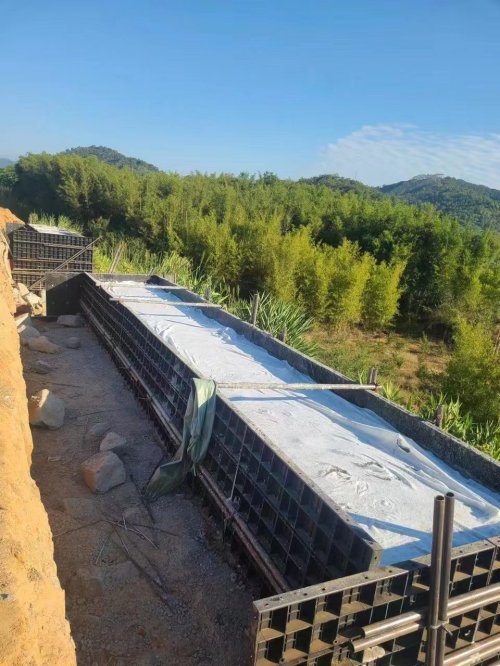 一块模板的“碳”寻之路：从森林消耗到循环利用，  中国“智”造重塑施工生态