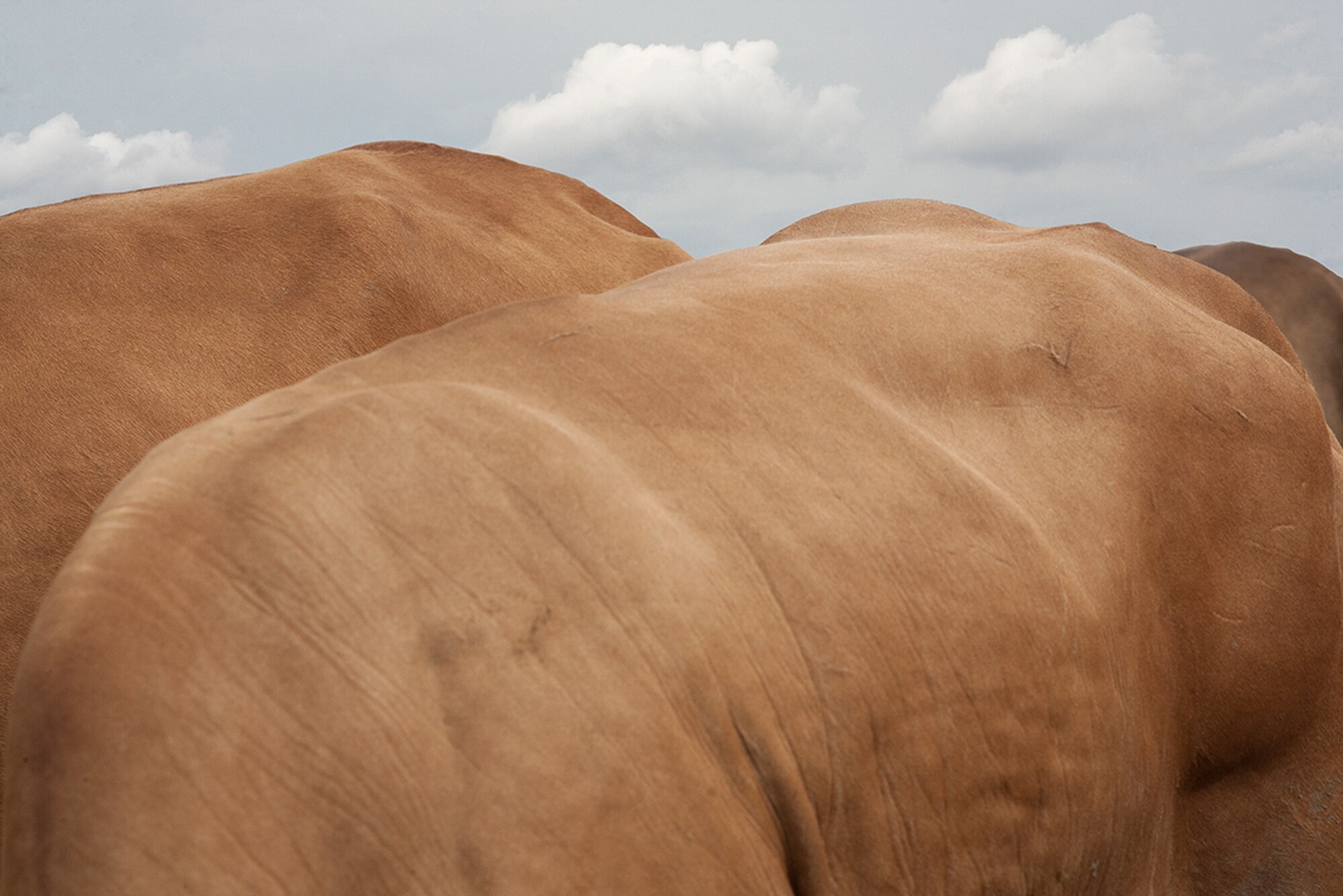 ���մ�ʦ�� 2026 ������������