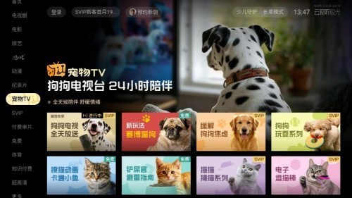 从《疯狂动物城2》预约爆火，看虹领金如何接住优质内容的加速度