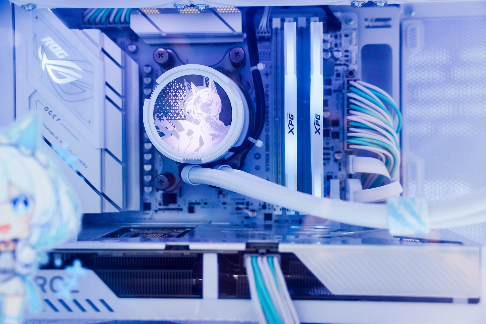 ˶BW2025 ROG+԰