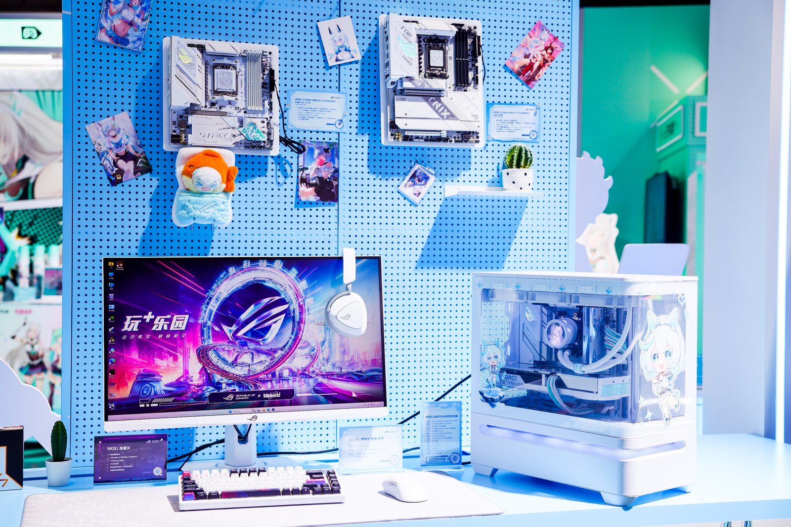 ˶庳BW2025 ROG+԰ҿ