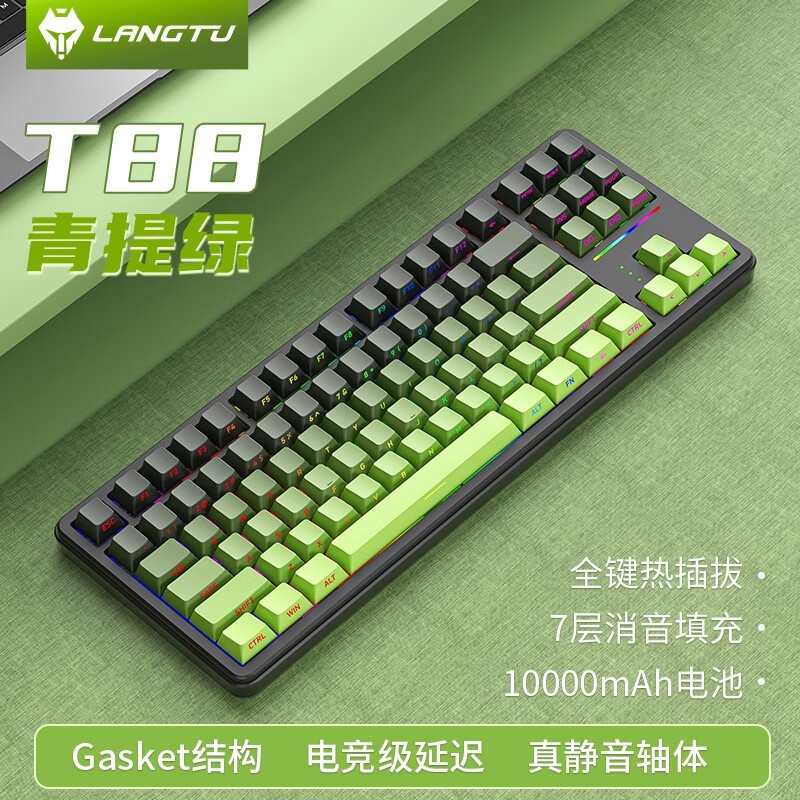 ; T88  ѩ