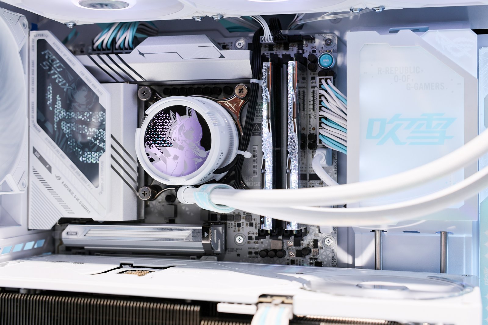˶BW2025 ROG+԰