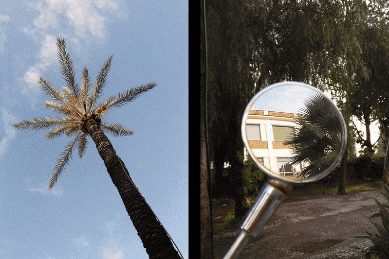��ʿX-Half������׺ò���