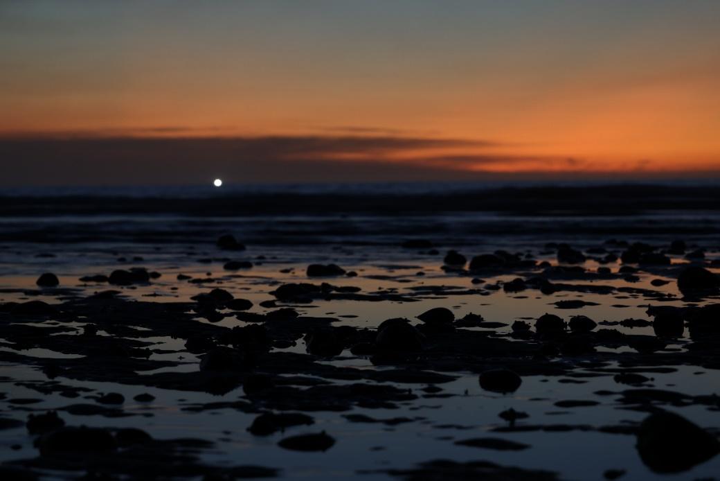 Խ ܷȫר΢EOS R6 Mark III