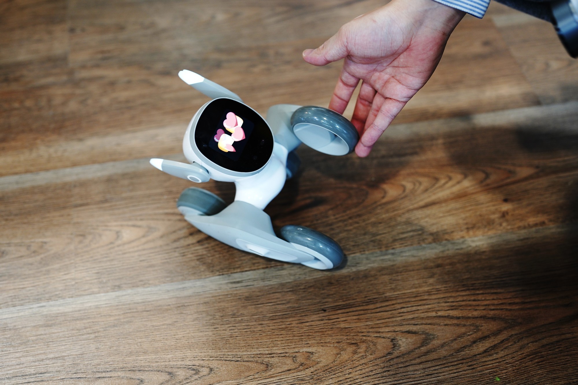 既能情感交互又能为办公提速！Loona Deskmate让打工人效率翻倍_宇树 G1_笔记本评测-中关村在线