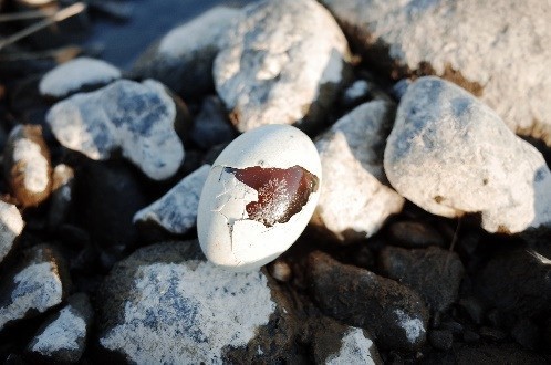 �῵Ӱ������Ӱ���� 2024-2025����Ʒ����