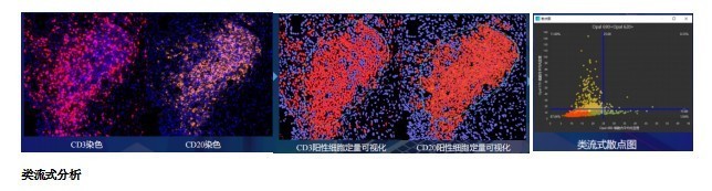 汇东佰生物科技（上海）有限公司 —— 您的空间蛋白组学一站式服务平台