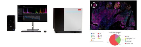 汇东佰生物科技（上海）有限公司 —— 您的空间蛋白组学一站式服务平台