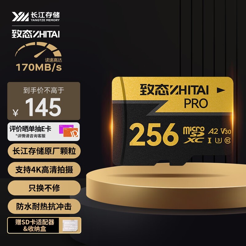 洢̬ PROרҵٴ洢 256GB