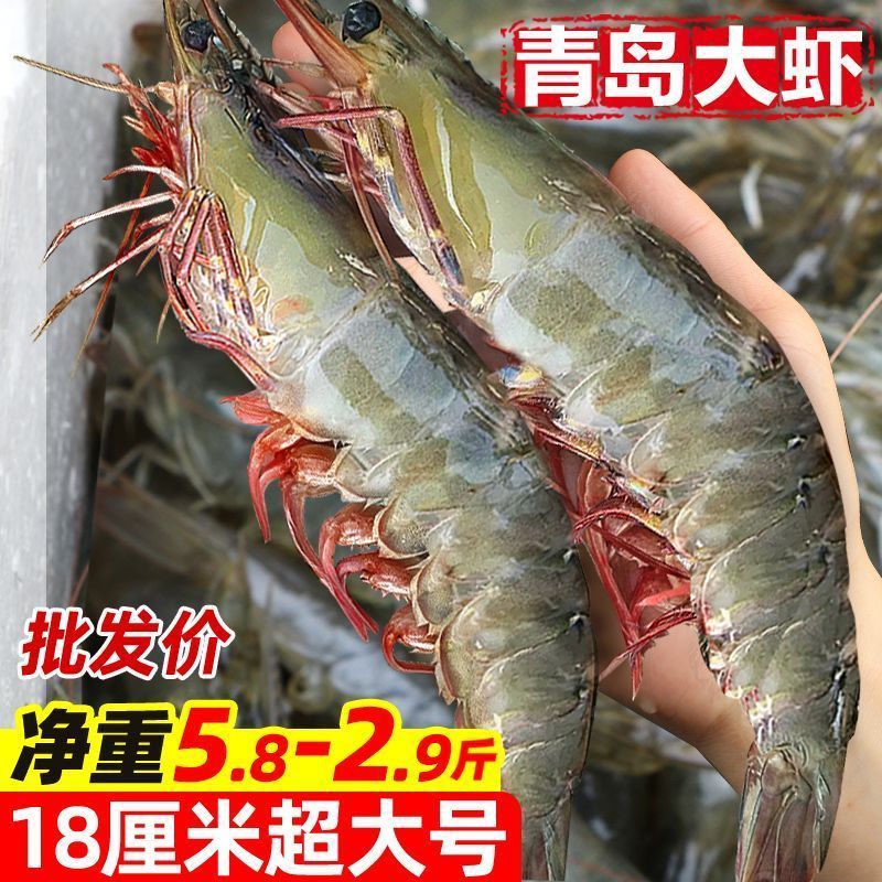 缤鲜 青岛大虾 100g*3+30g*2 新鲜特大号鲜活速冻青虾海虾白虾基围虾海鲜整箱批发