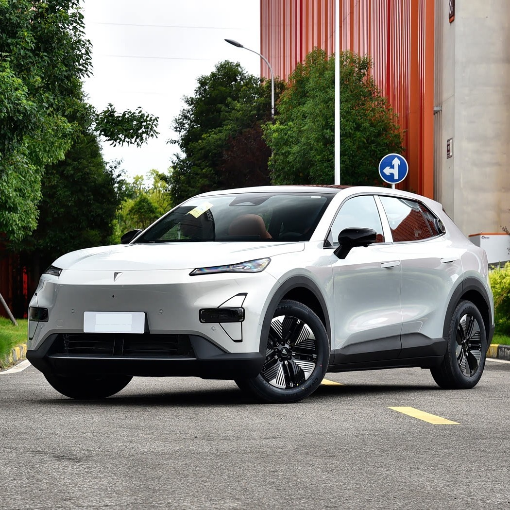 20Ԫڵ綯SUVôѡĿųͶԱƼ