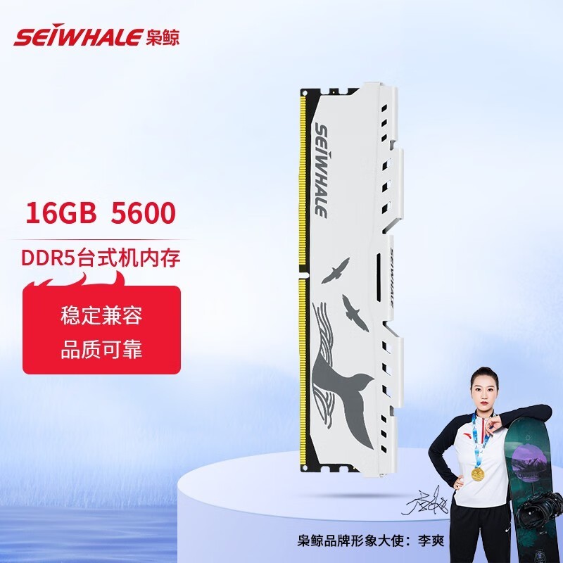 枭鲸 电竞漫游 DDR5 5600MHz 台式机内存条 16GB
