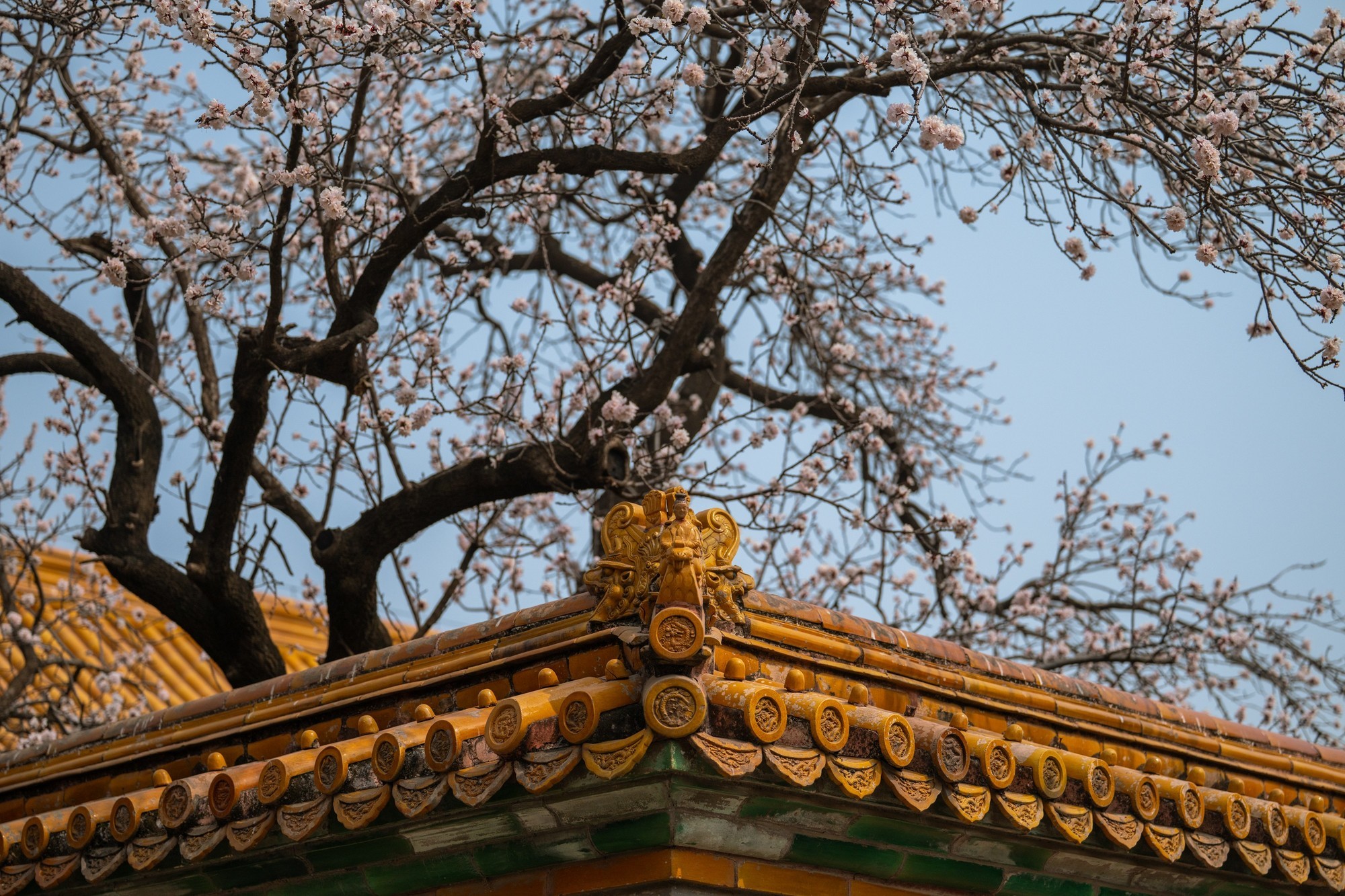 长焦变焦镜头推荐:尼克尔Z 70 - 200mm f/2.8 VR S II