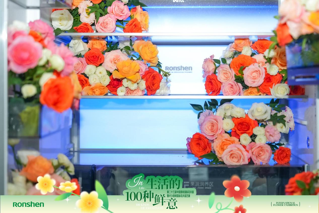 ���������ʻ����������������������ʻ���չ