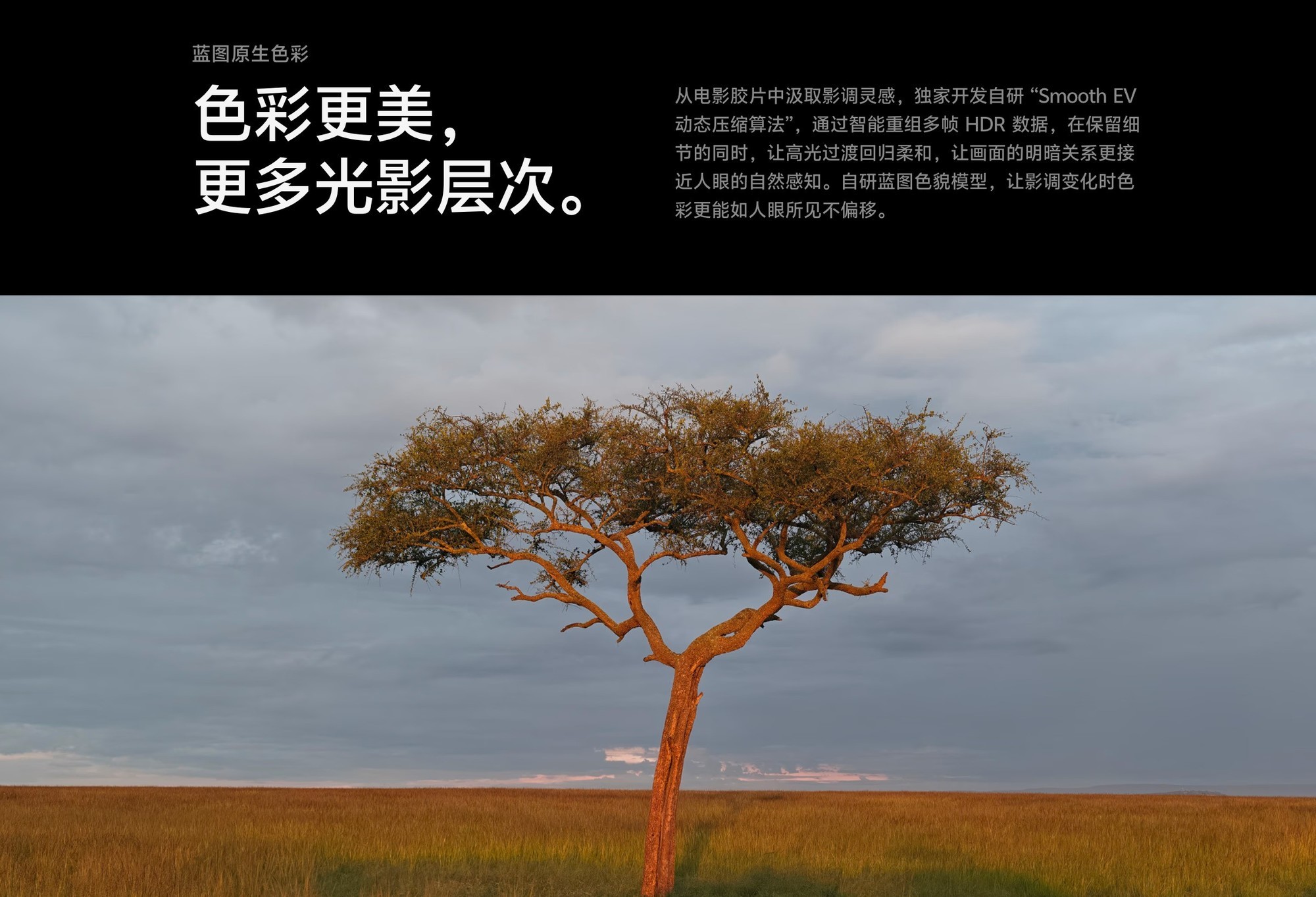 手机厂造Pocket相机，真能搞出新花活儿？