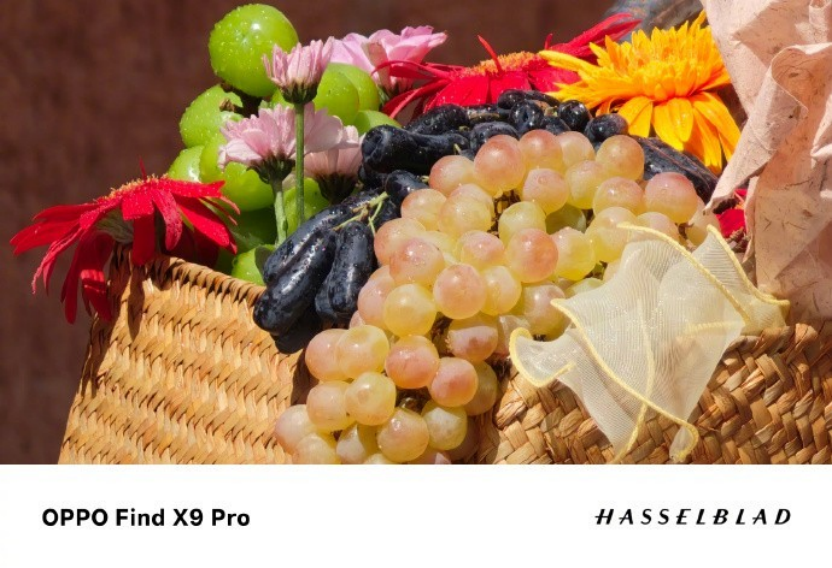 2컭ʸOPPO Find X9ϵ