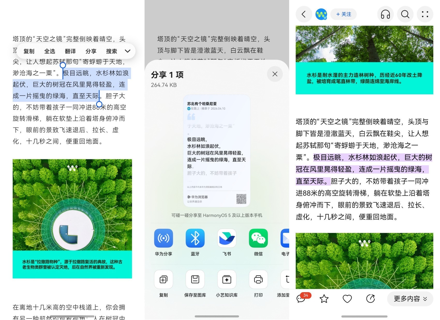 ��Ϊ����������Ż������߷����ú��Ĵ��ݸ���Ч