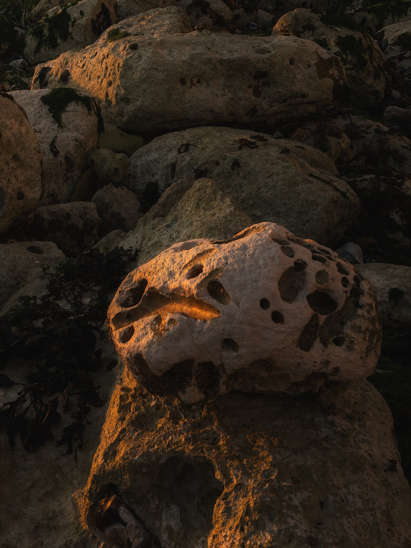 �ӱ�ԭ������ ��ʿGFX100S II�����Ӱ����