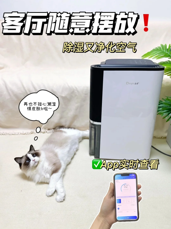 实测德业除湿机:连续9年销冠的品牌,蕴藏着中产家庭的除湿答案