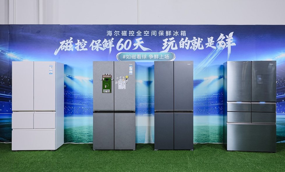 �ƽ⼫�˻����������⣡���������ٻ�Ȩ����֤