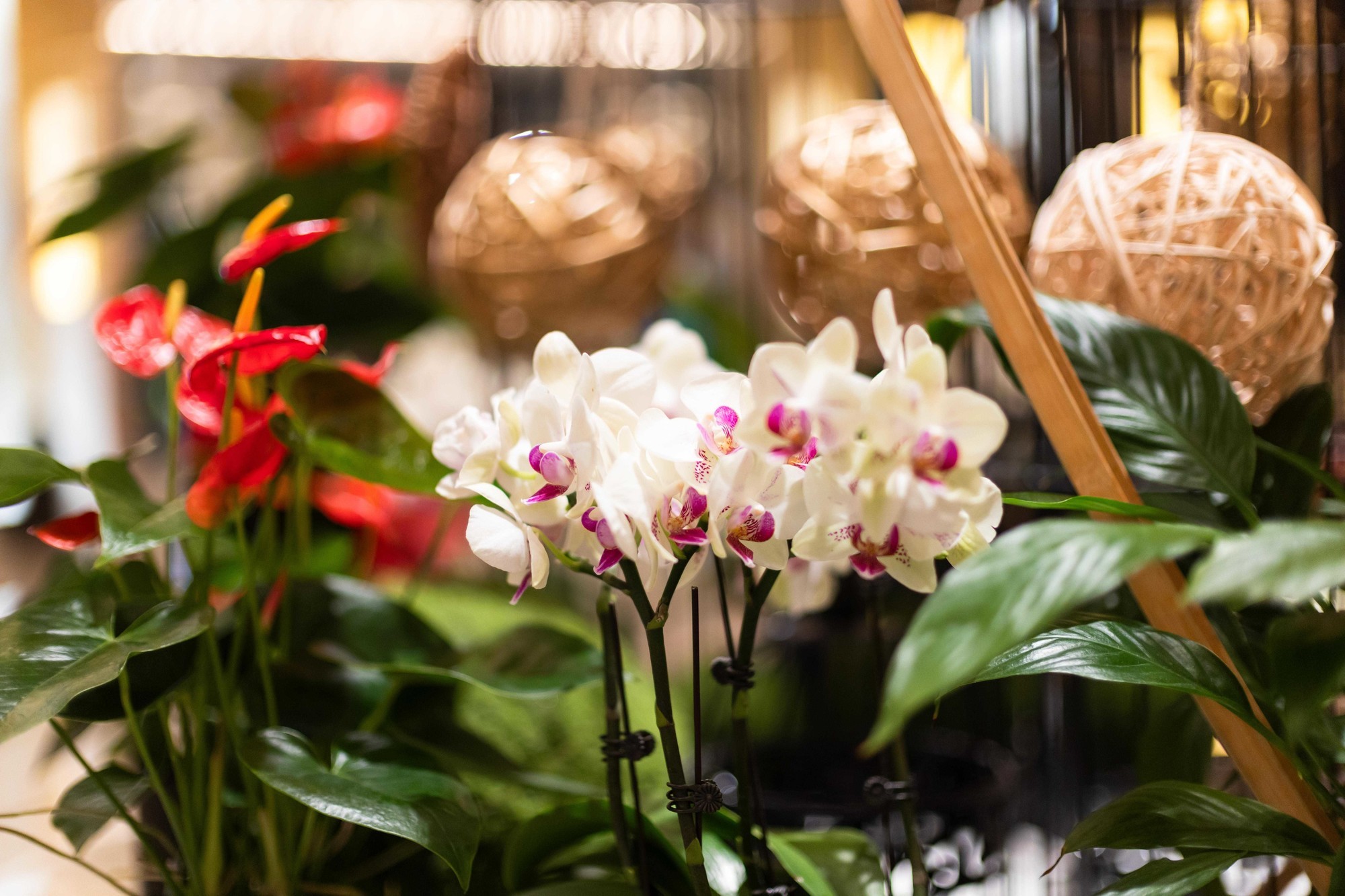 ��Ƶ����Ƭȫ������ ����ȫ����ר΢EOS R6 Mark III���