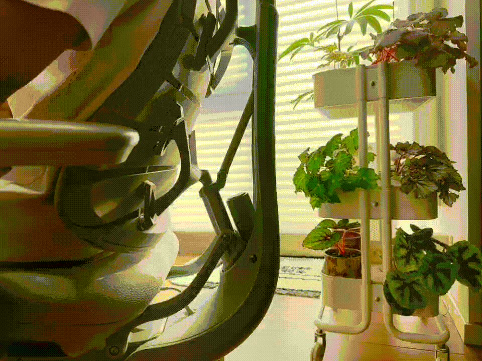 Ծָϣж̬˻ѧ¶塸밲ȫı߽