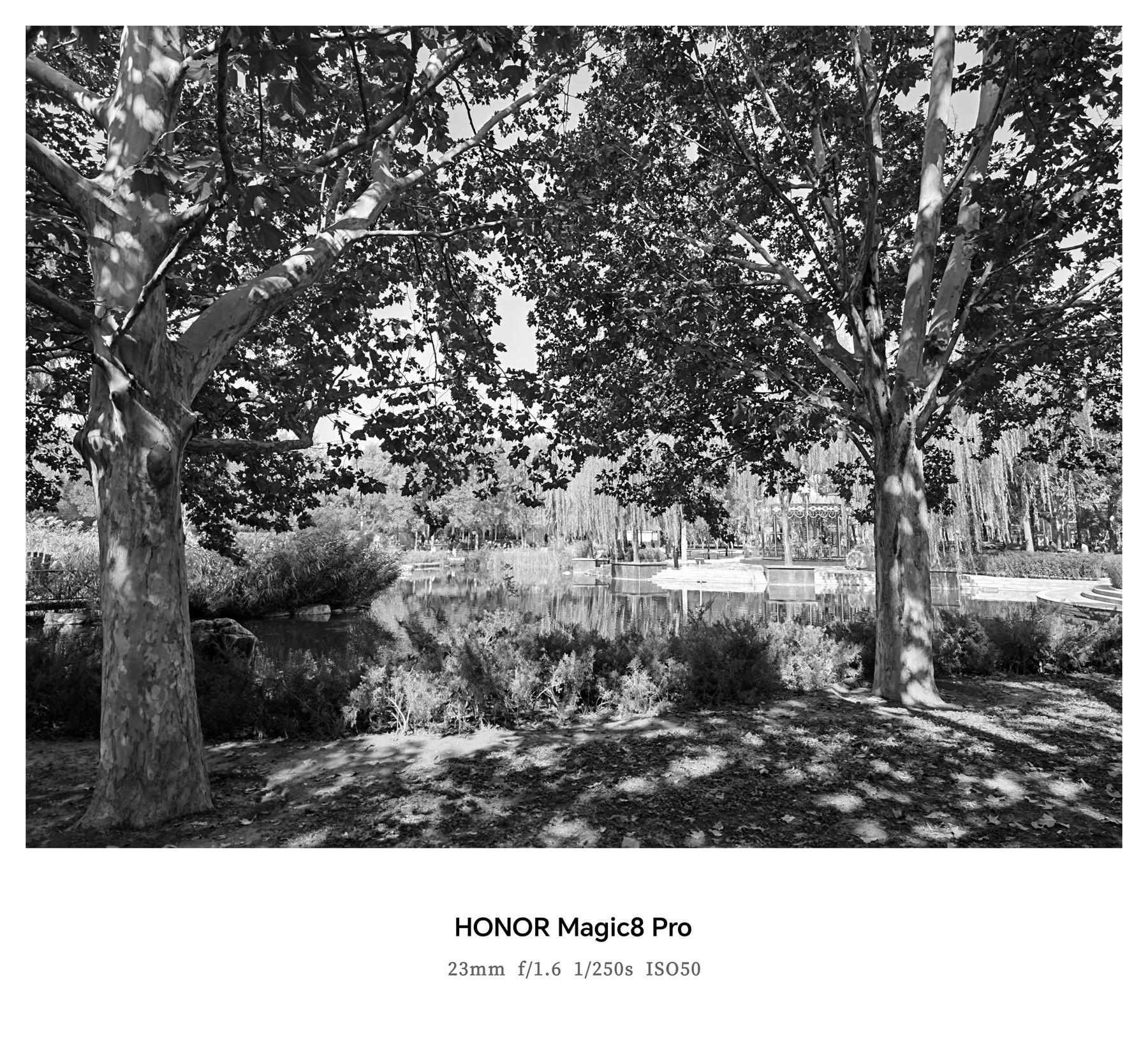 ��ҫMagic8ϵ���������⣺4499Ԫ�𣡴�AI��Ӱ��ȫ�������������