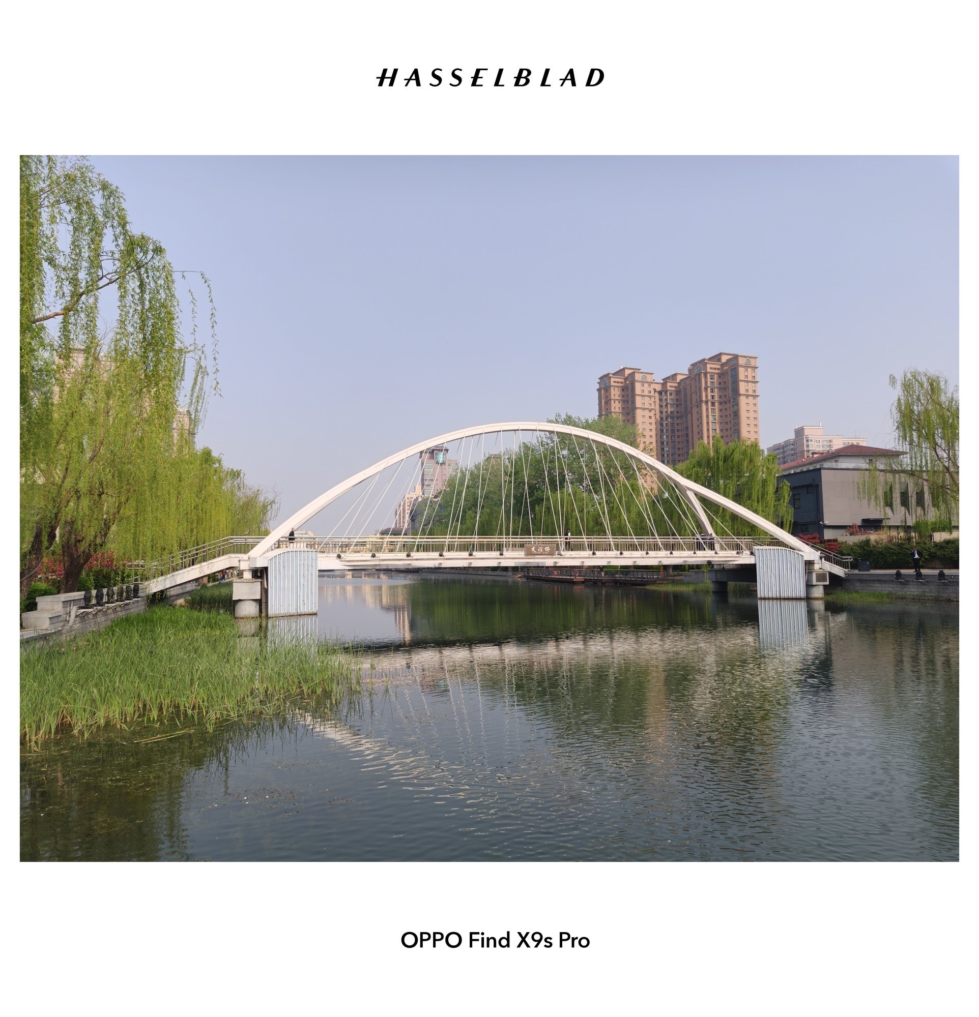 哈苏双两亿“口袋”相机来啦！OPPO Find X9s Pro影像体验分享