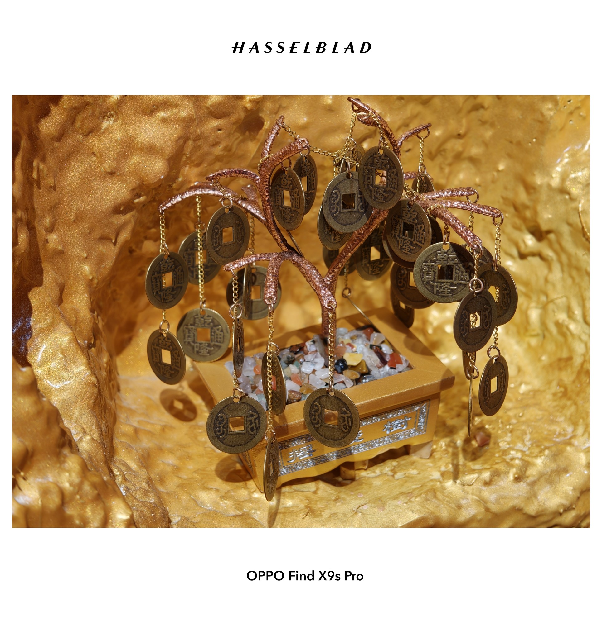 哈苏双两亿“口袋”相机来啦！OPPO Find X9s Pro影像体验分享