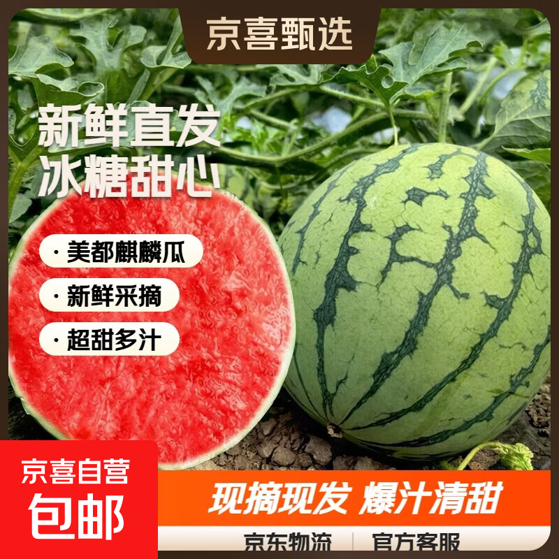 为什么叫冰糖西瓜 ChMkLWpSmX2IKNJyAA6f0Cs9HpsAAJGsgJeUOEADp_o071.png