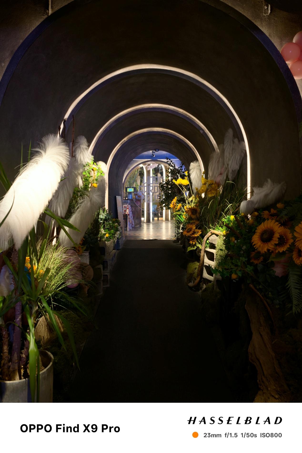 OPPO Find X9 Proȫ�����⣺Ultra��Ӱ�񣬹��ջ�������