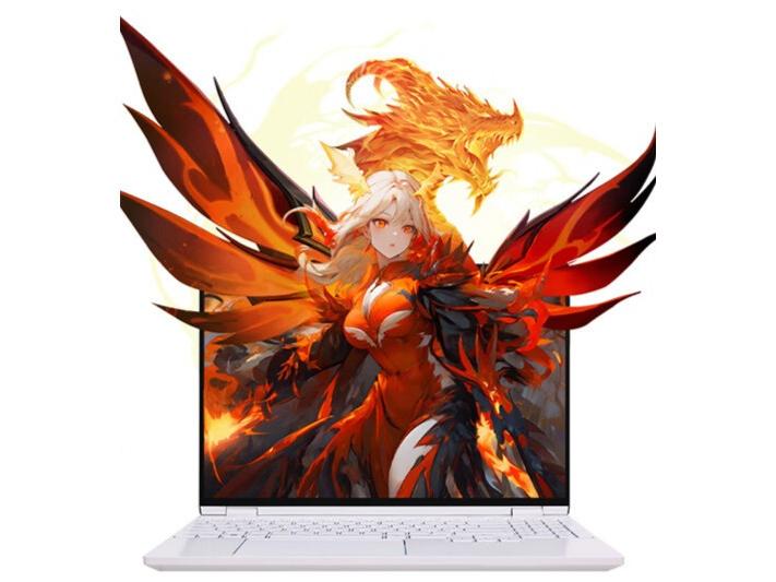 MECHREVO（机械革命） 翼龙15 Pro R7 8845H/32GB/1TB/RTX4060 云涧白