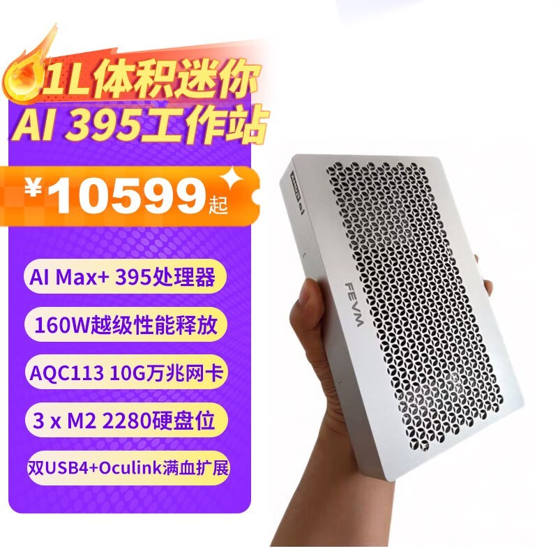 FEVM FAEX1 AMD AI��������