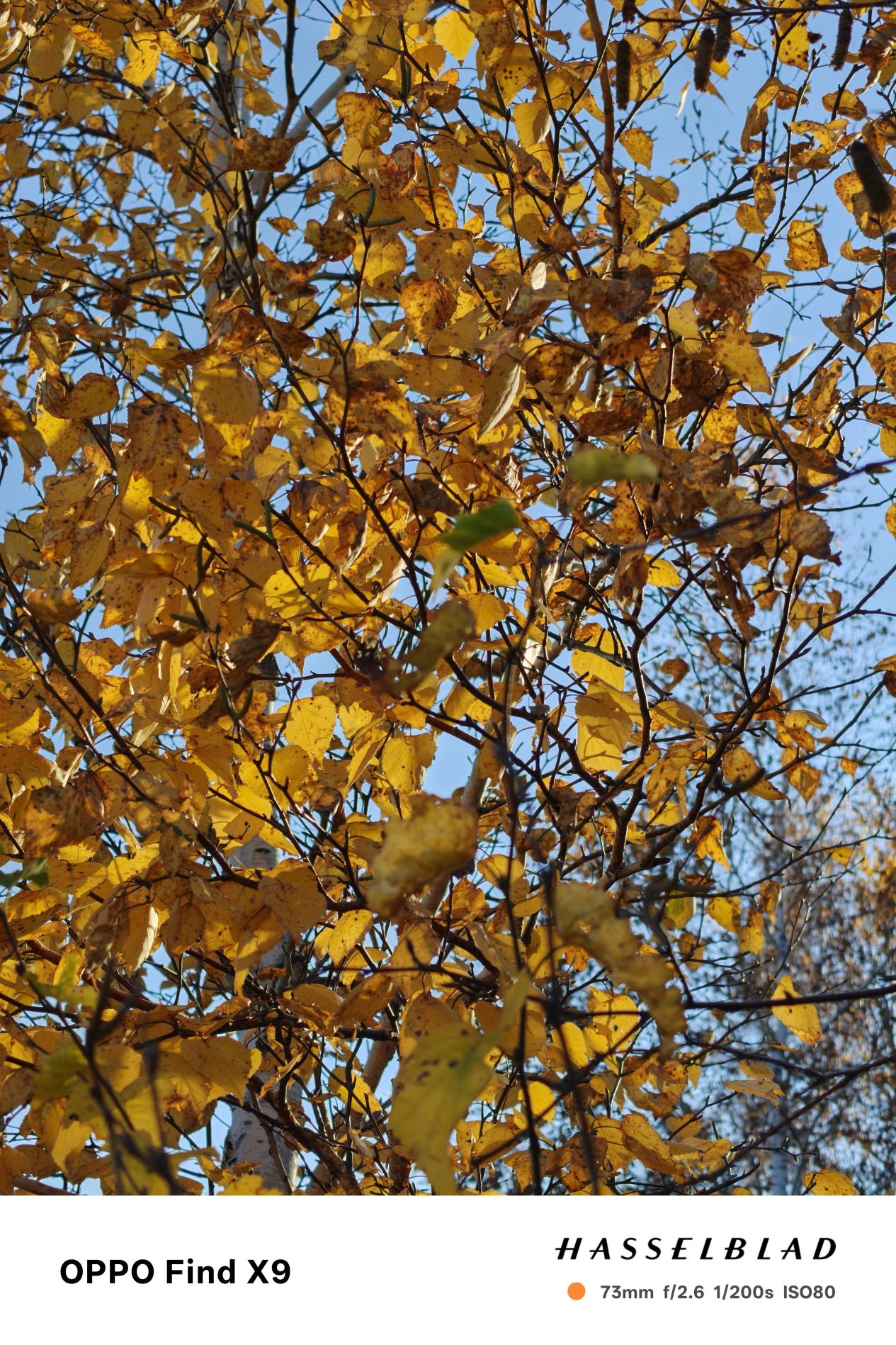 2026年大电池手机推荐:4000元预算怎么选?