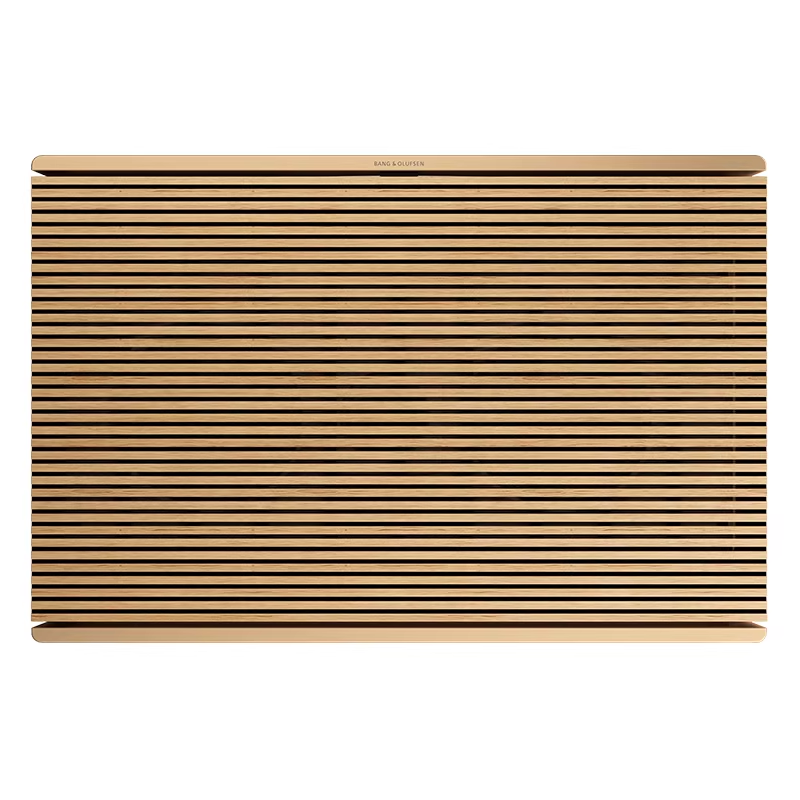 88VIP：BANG&OLUFSEN Beosound Level 居家 蓝牙音箱