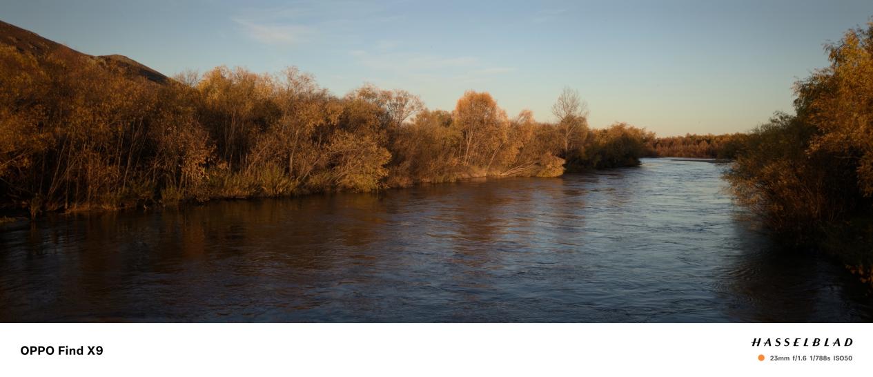 强到不像标准版?OPPO Find X9影像评测