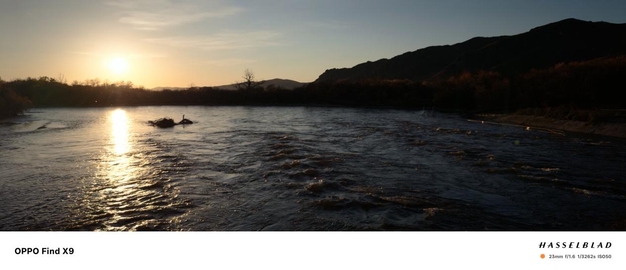 强到不像标准版?OPPO Find X9影像评测