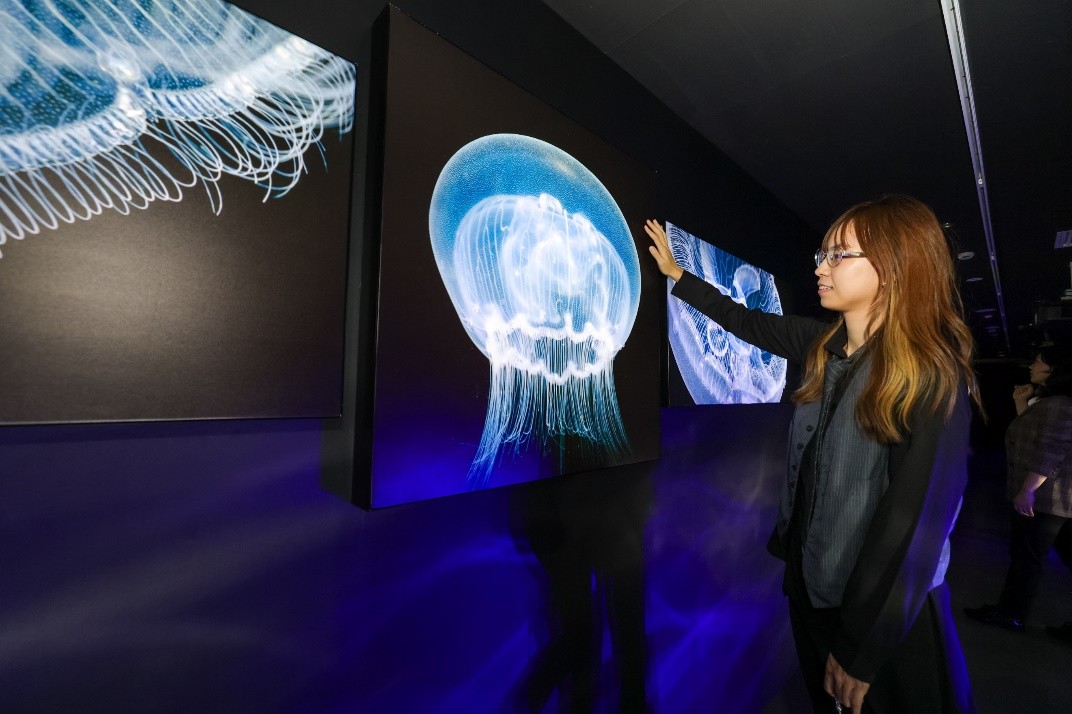 2025����Ӱ����껪֮EOSӰ��������԰�Ϻ���Ļ�� ����Ӱ��������������