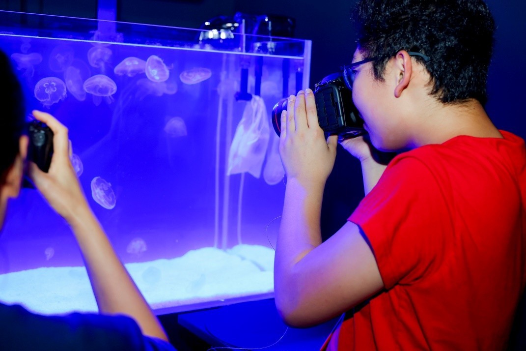 2025����Ӱ����껪֮EOSӰ��������԰�Ϻ���Ļ�� ����Ӱ��������������