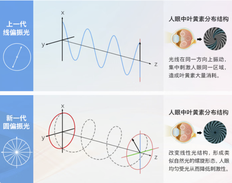 Ȩ��������֤�ӳ� ������Բƫ����ʾ������ְ����������