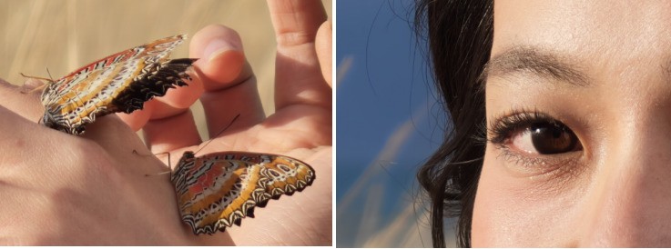 OPPO 发布年度旗舰 Find X9 系列,打造全新一代旅拍神器