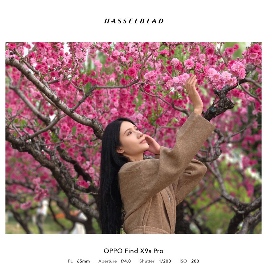 OPPO Find X9s Proȫ�����⣺������˫����װ���ڴ�