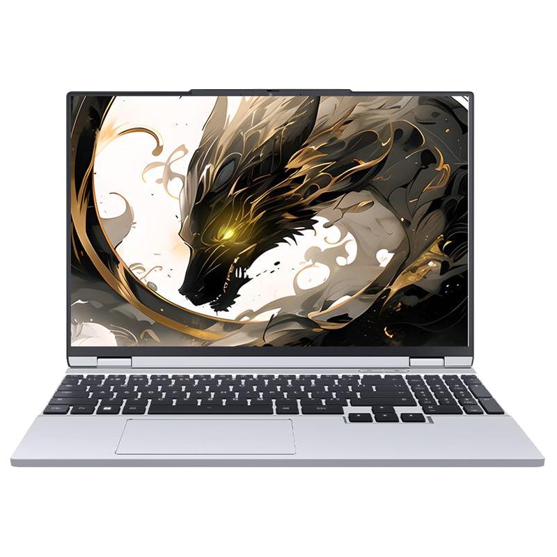 机械革命 翼龙15 Pro 15.3英寸游戏本