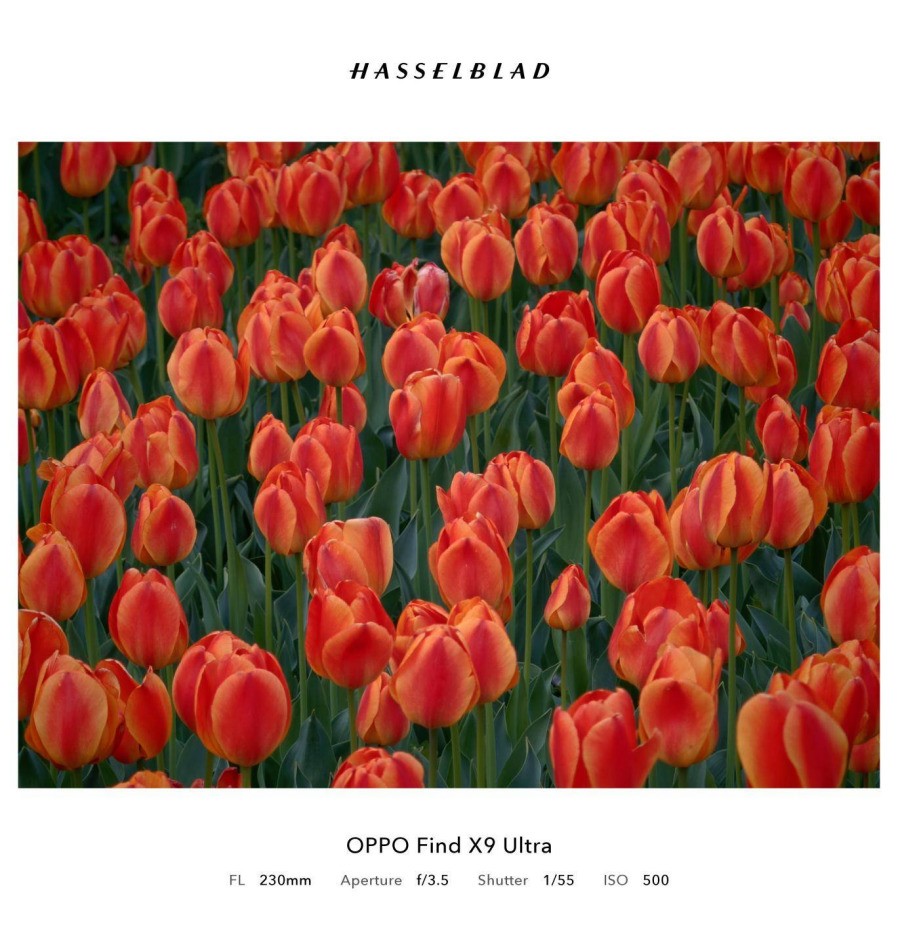 光学至上的口袋哈苏?5分钟看懂OPPO Find X9 Ultra值不值