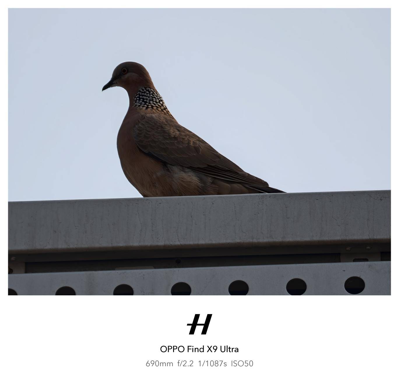 �ѹ���רҵӰ��װ���ڴ���OPPO����ô�����ģ�