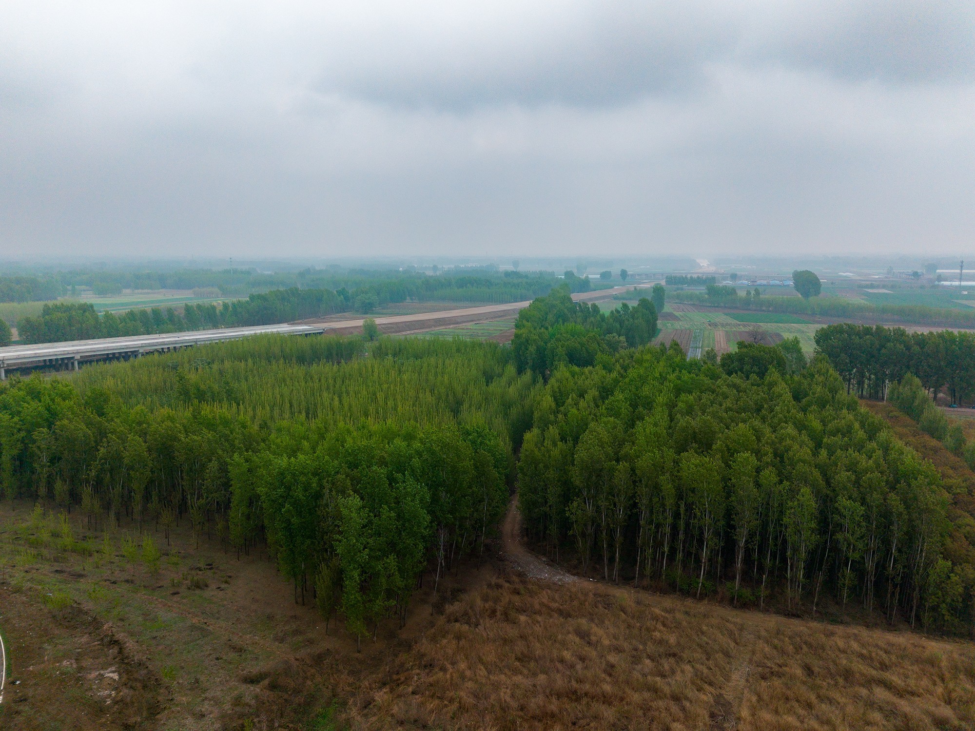 大疆DJI Lito X1/Lito 1无人机评测：更智能、更好用的新手入门级无人机