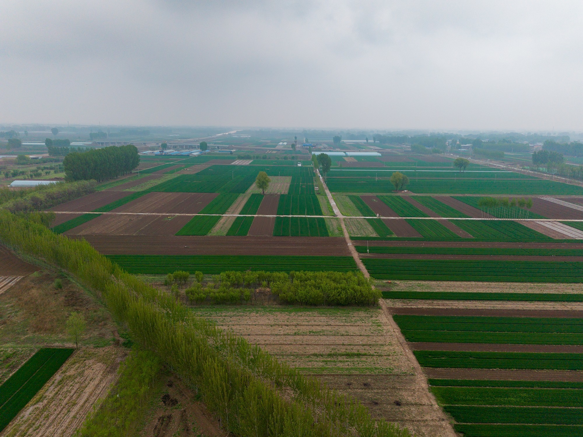 大疆DJI Lito X1/Lito 1无人机评测：更智能、更好用的新手入门级无人机